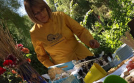 Mesas de quesos - Queso con arte contactar